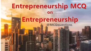 Read more about the article Entrepreneurship MCQ on Entrepreneurship